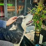 Nature Neno Visoko