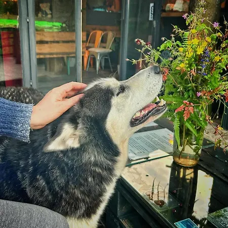 Nature Neno Visoko