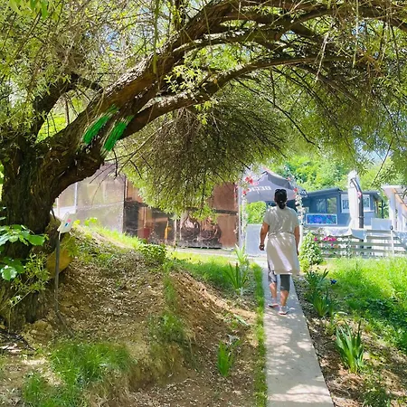 Alpstuga Nature Neno *